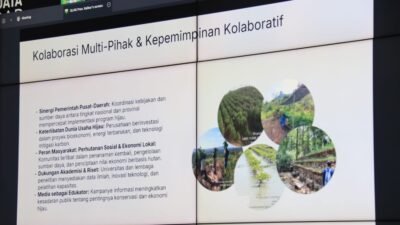 Pemprov Kalbar optimalkan 8,4 juta hektare hutan tropis guna menarik investasi rendah karbon dan wujudkan target FOLU Net Sink 2030. (Dok. HO/Faktakalbar.id)