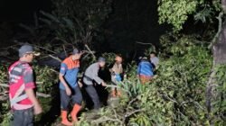 Peugas gabungan melakukan penanangan pohon tumbang di di Kabupaten Jember, Provinsi Jawa Timur, Jumat (6/3). (Dok. BPBD Kab. Jember)