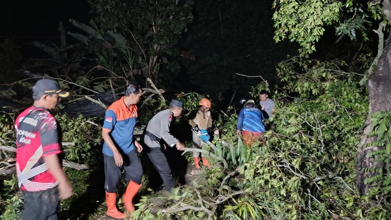Peugas gabungan melakukan penanangan pohon tumbang di di Kabupaten Jember, Provinsi Jawa Timur, Jumat (6/3). (Dok. BPBD Kab. Jember)