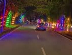 Buru Maling Lampu Arteri Supadio, Bupati Kubu Raya Janjikan Hadiah Khusus