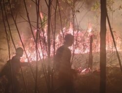 Awal Maret 2026, BNPB Catat Rentetan Karhutla di Aceh dan Kaltara Serta Angin Kencang di Luwu Timur