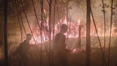Tim dari BPBD Kabupaten Nunukan berjibaku memadamkan api yang membakar lahan di Desa Binusa, Kecamatan Nunukan pada Rabu (9/3). Dokumentasi: BPBD Kabupaten Nunukan