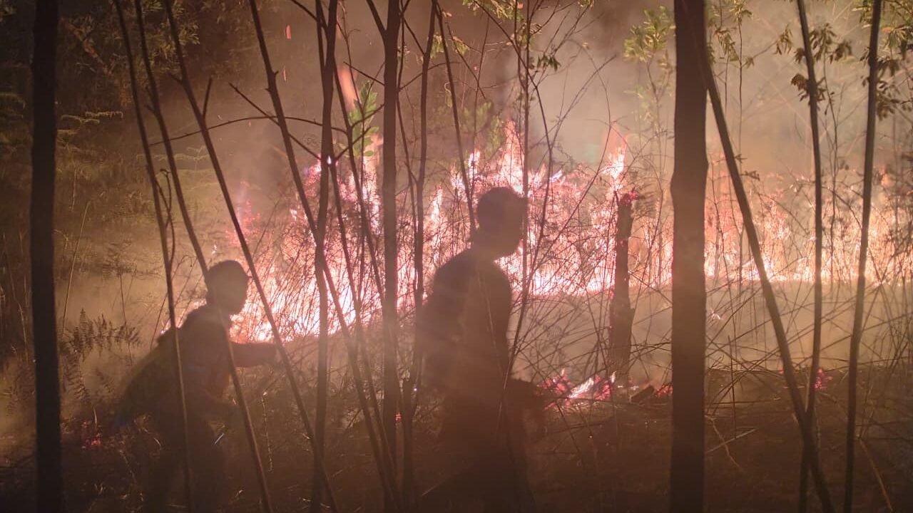 Tim dari BPBD Kabupaten Nunukan berjibaku memadamkan api yang membakar lahan di Desa Binusa, Kecamatan Nunukan pada Rabu (9/3). Dokumentasi: BPBD Kabupaten Nunukan