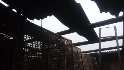 Angin kencang yang menerjang wilayah Kecamatan Cepogo, Kabupaten Boyolali, Provinsi Jawa Tengah sehingga mengakibatkan kerusakan pada rumah warga (26/3). (Dok. BPBD Kabupaten Boyolali)