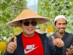 Bupati Sujiwo Panen Melon di Desa Sungai Raya Dalam, Siapkan Jadi Kawasan Agrowisata