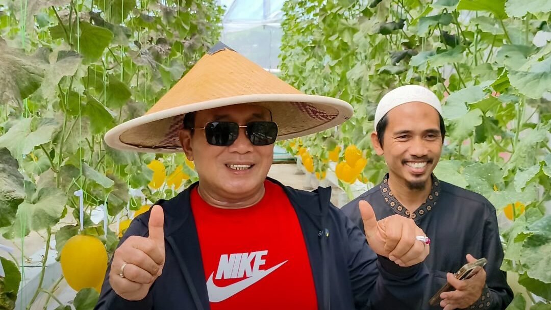 Bupati Kubu Raya Sujiwo memberikan jempol saat memanen buah melon di Kebun Koperasi Desa Merah Putih Sungai Raya Dalam. (Dok. HO/Faktakalbar.id)