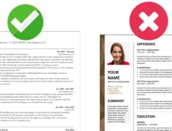 Peluang Diterima Lebih Besar, Ini Cara Membuat CV ATS Untuk Melamar Kerja