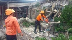 BPBD Kabupaten Lampung Selatan bersama warga bahu membahu melakukan pemberisihan material pohon tumbang pasca diterjang angin kencanga di wilayah Kabupaten Lampung Selatan, Provinsi Lampung, pada Senin (2/3) pukul 13.00 WIB. (Dok. BPBD Kabupaten Lampung Selatan)