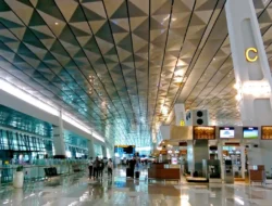 Fenomena Brain Drain: 4 Alasan Mengapa Orang Pintar Cenderung Memilih Pindah Negara