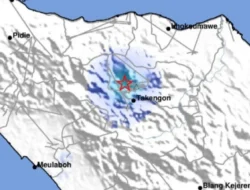 Diguncang Magnitudo 5,0 Dini Hari, BMKG Pastikan Gempa Maluku Barat Daya Tak Berpotensi Tsunami