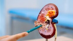 Ilustrasi - Kenali tanda bahaya gagal ginjal yang mengincar kelompok usia produktif. Ketahui lima gejala awalnya untuk mencegah kerusakan ginjal semakin parah. (Dok. Ist)