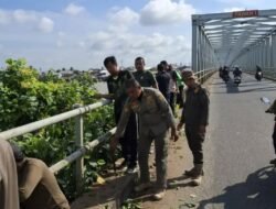 Ganggu Keselamatan Pengendara, Tanaman Liar di Jembatan Pawan I Dibersihkan