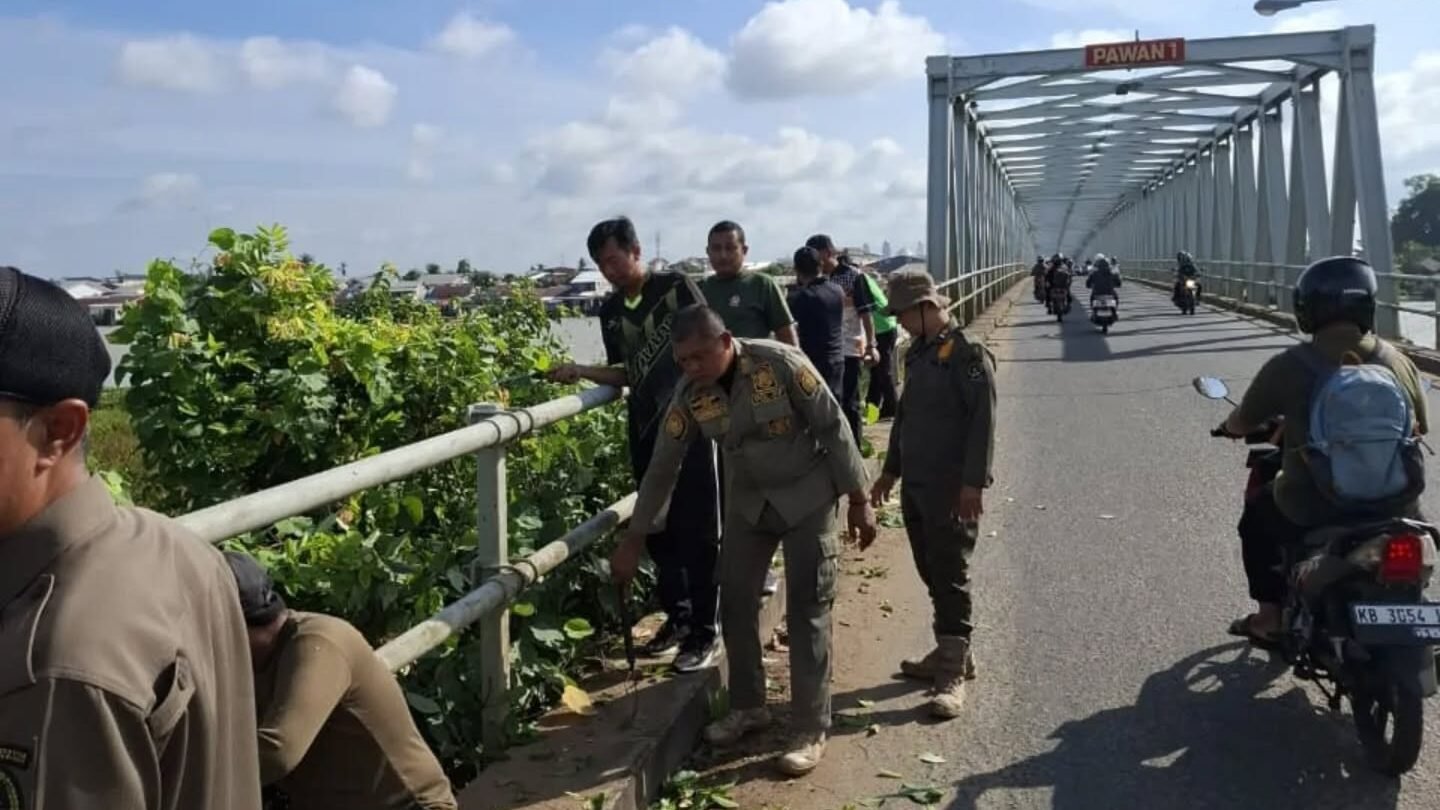 Anggota Satpol PP Ketapang bersama staf kecamatan dan kelurahan sedang membersihkan tanaman menjalar di sisi Jembatan Pawan I. (Dok. HO/Faktakalbar.id)
