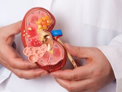 Waspada Makanan Pemicu Kanker Ginjal di Usia Muda