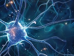 Konsumsi Delapan Makanan Ini Jaga Kesehatan Sistem Saraf