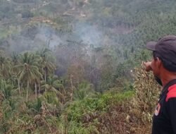 Akses Terjal, Tim Gabungan Jalan Kaki Padamkan Karhutla 2 Hektare di Parigi Moutong