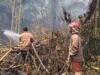 Karhutla Landa Simalungun, Empat Hektare Lahan di Gunung Maligas Hangus Terbakar