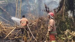 Petugas gabungan bahu membahu memadamkan kebakaran hutan dan lahan yang terjadi di wilayah Kelurahan Karang Sari, Kecamatan Gunung Maligas, Kabupaten Simalungun, Provinsi Sumatera Utara (26/3). (Dok. BPBD Kabupaten Simalungun)