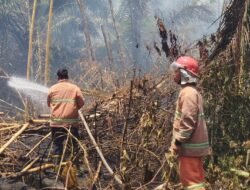 Karhutla Landa Simalungun, Empat Hektare Lahan di Gunung Maligas Hangus Terbakar