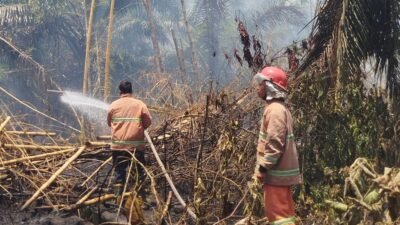 Petugas gabungan bahu membahu memadamkan kebakaran hutan dan lahan yang terjadi di wilayah Kelurahan Karang Sari, Kecamatan Gunung Maligas, Kabupaten Simalungun, Provinsi Sumatera Utara (26/3). (Dok. BPBD Kabupaten Simalungun)