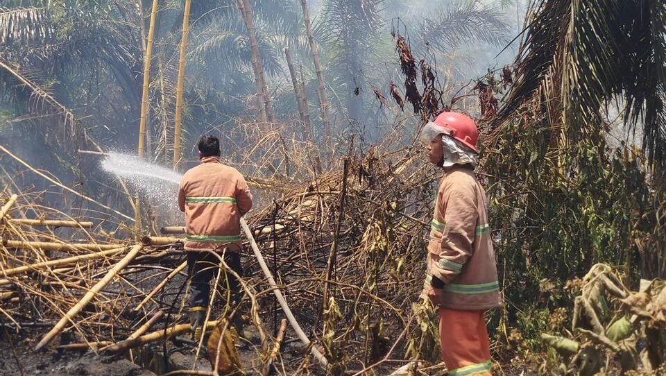 Petugas gabungan bahu membahu memadamkan kebakaran hutan dan lahan yang terjadi di wilayah Kelurahan Karang Sari, Kecamatan Gunung Maligas, Kabupaten Simalungun, Provinsi Sumatera Utara (26/3). (Dok. BPBD Kabupaten Simalungun)