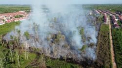 kobaran api yang menghanguskan lahan gambut di kawasan Sungai Raya Dalam, Kabupaten Kubu Raya, pada Minggu (1/3/2026) siang