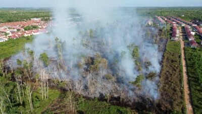 kobaran api yang menghanguskan lahan gambut di kawasan Sungai Raya Dalam, Kabupaten Kubu Raya, pada Minggu (1/3/2026) siang