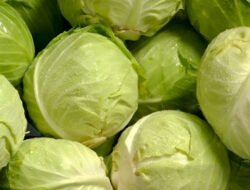 Daftar Sayur Protein Tinggi Pembentuk Otot Tubuh Ideal