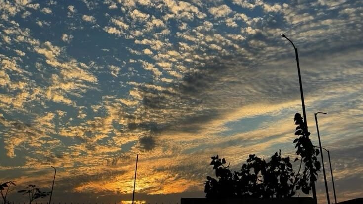 Ilustrasi - Menghirup udara pada waktu subuh memberikan kebaikan bagi sistem pernapasan manusia. Udara pagi yang bersih melancarkan sirkulasi oksigen ke seluruh tubuh. (Dok. Ist)