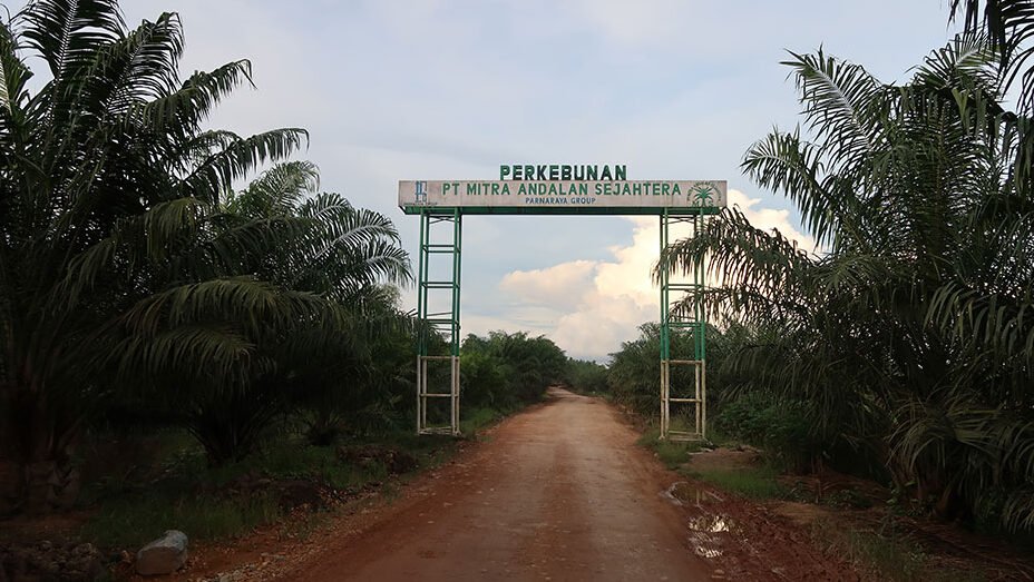 "Sengketa 91 SHM di PT MAS Wajok temui titik terang. Simak jadwal dan lokasi posko verifikasi lahan di Pontianak hasil mediasi bersama DAD Mempawah."