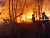 Hanguskan 2.713 Hektare Lahan, Pemprov Tetapkan Siaga Darurat Kebakaran Hutan di Riau Hingga November