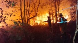 Proses pemadaman api oleh petugas gabungan, pada Rabu (25/3). Sumber foto : BPBD Provinsi Kepulauan Riau