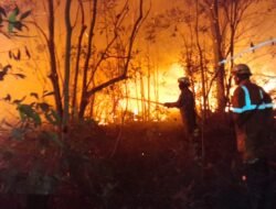 Hanguskan 2.713 Hektare Lahan, Pemprov Tetapkan Siaga Darurat Kebakaran Hutan di Riau Hingga November