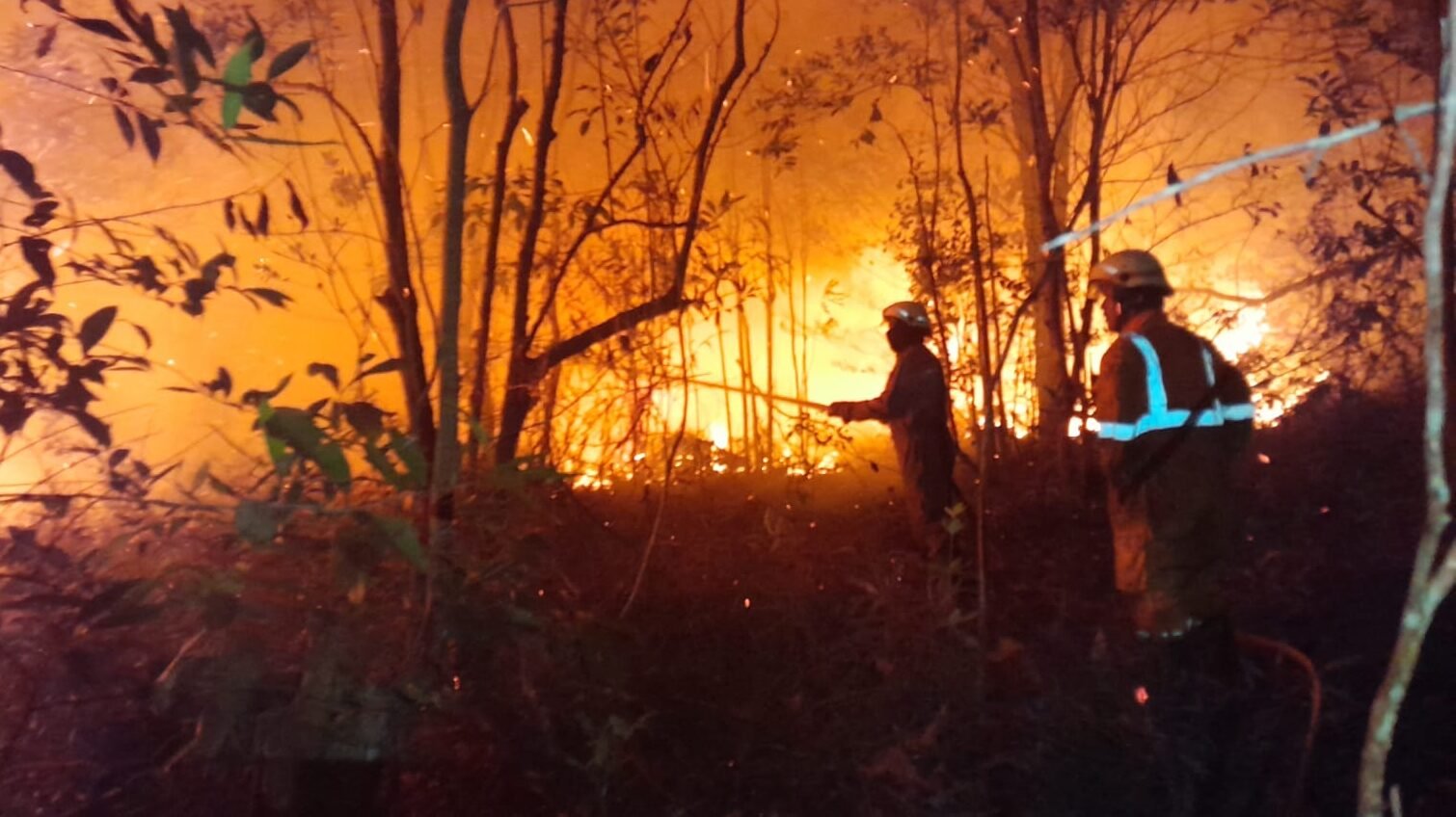 Proses pemadaman api oleh petugas gabungan, pada Rabu (25/3). Sumber foto : BPBD Provinsi Kepulauan Riau