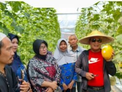 Kejar Nilai Ekonomis, Sujiwo Ajak Warga Kubu Raya Manfaatkan Lahan Pekarangan