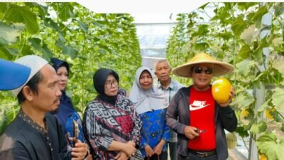 Bupati Kubu Raya Sujiwo menunjukkan hasil panen melon di lahan Koperasi Desa Merah Putih Sungai Raya Dalam. (Dok. HO/Faktakalbar.id)