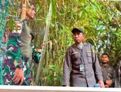 Karantina Kalbar dan Satgas Pamtas Tutup Jalur Tikus di Perbatasan Entikong Pasca Idulfitri