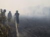 Cuaca Panas Picu Titik Api Baru, Penanganan Karhutla di Kubu Raya Terkendala Akses Air
