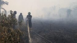 Petugas Brigade Dalkarhutla KPH Wilayah Kubu Raya berjibaku memadamkan titik api kebakaran lahan gambut di Kecamatan Rasau Jaya di tengah cuaca panas.