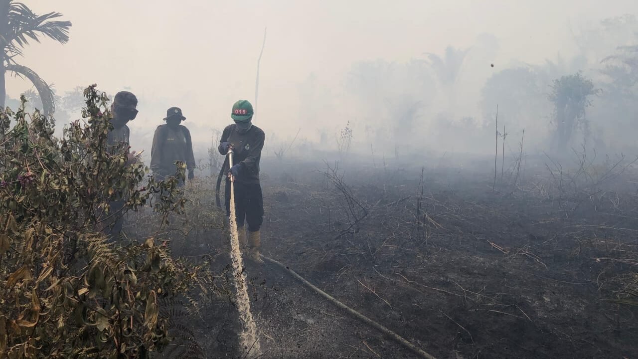 Petugas Brigade Dalkarhutla KPH Wilayah Kubu Raya berjibaku memadamkan titik api kebakaran lahan gambut di Kecamatan Rasau Jaya di tengah cuaca panas.