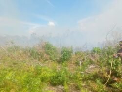 Nyaris Rambat Permukiman Warga, Tim Gabungan Berjibaku Padamkan Kebakaran Lahan di Mempawah