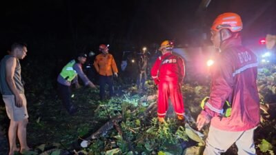 Tim gabungan membersihkan runtuhan sejumlah pohon tumbang yang menimpa kendaraan dan jaringan listrik di Kabupaten Batang pada Rabu (4/3). (Dok. BPBD Kabupaten Batang)