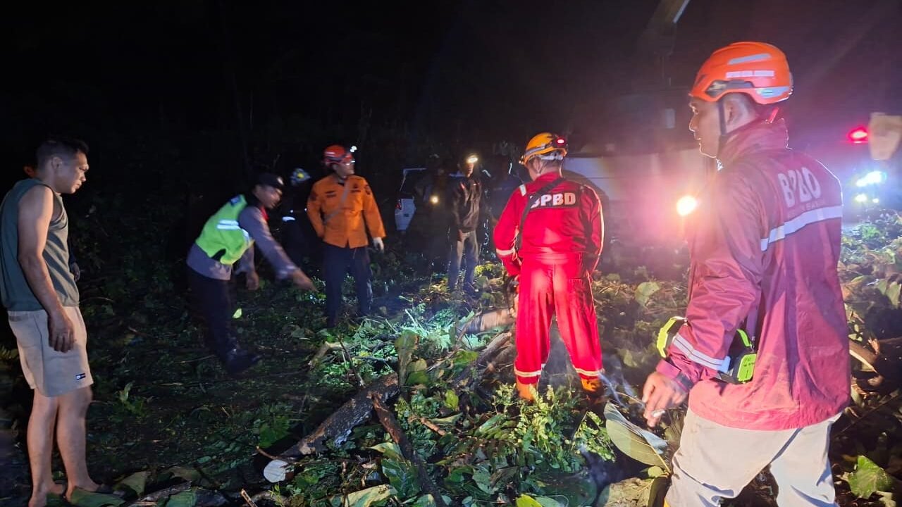 Tim gabungan membersihkan runtuhan sejumlah pohon tumbang yang menimpa kendaraan dan jaringan listrik di Kabupaten Batang pada Rabu (4/3). (Dok. BPBD Kabupaten Batang)