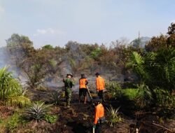 Padamkan 6 Titik Api di Selakau Timur, Tim Gabungan Cegah Meluasnya Karhutla di Sambas