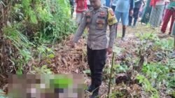 Personel Polsek Seberuang bersama warga mengevakuasi sesosok jenazah pria yang ditemukan tewas di tepi jalan poros Desa Gurung, Kapuas Hulu.