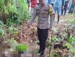 Geger! Pria di Seberuang Ditemukan Tewas, Diduga Tenggak Racun Rumput