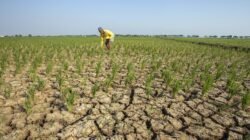 "Benarkah El Nino bikin kering total? Simak penjelasan mengapa wilayah katulistiwa tetap mengalami hujan meski di tengah kekeringan El Nino yang ekstrem."