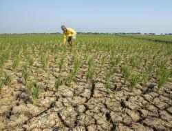Terasa Sangat Terik, Ini Alasan Kenapa Tetap Ada Hujan Saat Kekeringan El Nino di Katulistiwa