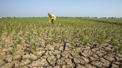 "Benarkah El Nino bikin kering total? Simak penjelasan mengapa wilayah katulistiwa tetap mengalami hujan meski di tengah kekeringan El Nino yang ekstrem."