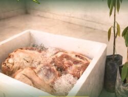 Tegas! Karantina Kalbar Tolak Daging Babi dan Bibit Durian Tak Berdokumen